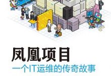 凤凰项目：一个IT运维的传奇故事-淇淇有料
