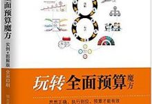 玩转全面预算魔方：世界500强企业CEO、财会界领军人物联袂推荐！财政部十大优秀CFO的实战经验，企业利润倍增图解版-淇淇有料