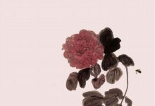 世间小儿女 汪曾祺-淇淇有料