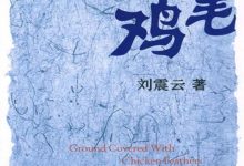 一地鸡毛-淇淇有料