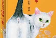 猫城小事-淇淇有料