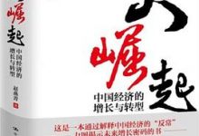 大崛起：中国经济的增长与转型-淇淇有料