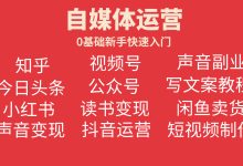 自媒体运营教程 新手自学零基础学习新媒体视频教程-淇淇有料