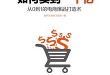 11.11如何卖到一个亿：从0到1的电商爆品打造术 - 陈炉均 陈威 马国良-淇淇有料
