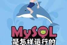 MySQL是怎样运行的-淇淇有料