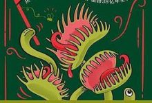 植物的战斗-淇淇有料