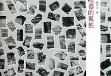 过于喧嚣的孤独-淇淇有料