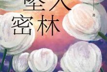 白鸟坠入密林-淇淇有料