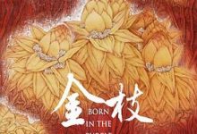 金枝·全本-淇淇有料