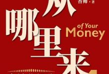 钱从哪里来4：岛链化经济-淇淇有料