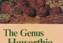 The Genus Haworthia - A taxonomic revision-淇淇有料