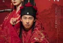 赘婿（全集）-淇淇有料