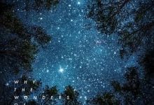 物理学的慰藉：写给宇宙奇迹的情书-淇淇有料