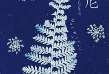 兰尼 ：星星、植物与只言片语-淇淇有料