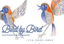 一只鸟接着一只鸟-淇淇有料