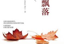 叶子轻轻飘落-淇淇有料