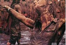 伤花怒放：摇滚的被缚与抗争-淇淇有料