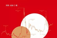 追寻价值之路：1990-2020年中国股市行情复盘 (燕翔 战迪)-淇淇有料