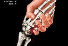 恶徒的救赎 [日] 高野和明-淇淇有料