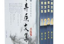 辛弃疾文集（套装全4册）王新龙-淇淇有料