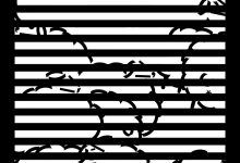 白色绵羊里的黑色绵羊-淇淇有料