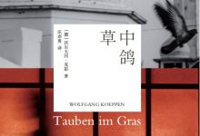 草中鸽-淇淇有料