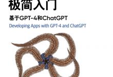 大模型应用开发极简入门：基于GPT-4和ChatGPT-淇淇有料
