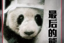 最后的熊猫 (〔美〕乔治·夏勒)-淇淇有料