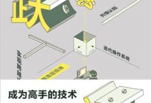 跃迁：成为高手的技术-淇淇有料