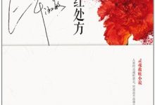 红处方 (毕淑敏)-淇淇有料