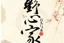 野心家 (石头与水)-淇淇有料