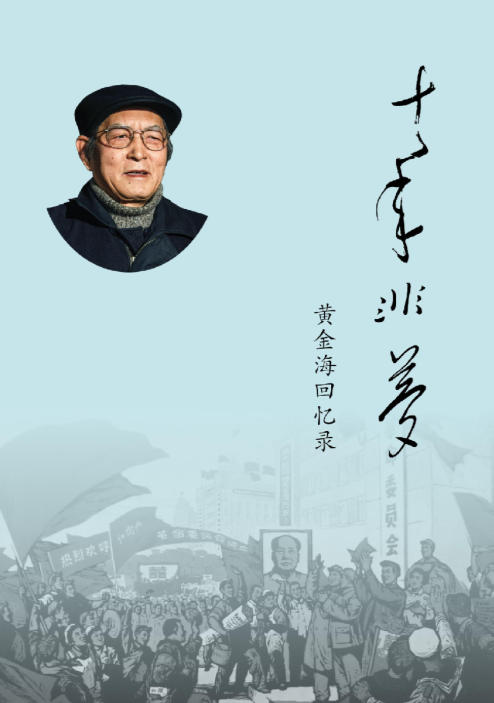 十年非梦——黄金海回忆录 (黄金海)