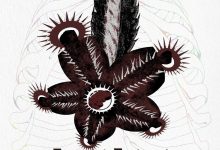 血孩子-淇淇有料