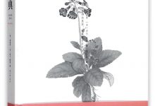 香典 (周嘉胄)-淇淇有料