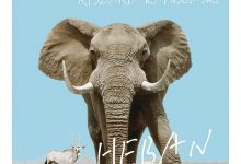 太阳的阴影:深入非洲的旅程-淇淇有料